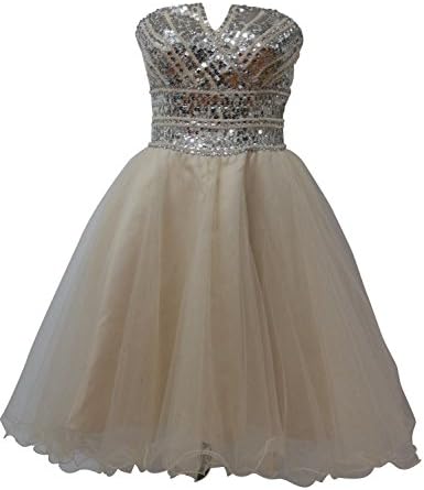 ALfany Womens Short Tullle Sequins Homecoming Dress Prom Gown ALF061BG-US10