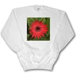 Flowers - Red Gerber - Sweatshirts