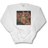 Florida Rare Panther - Adult SweatShirt 2XL
