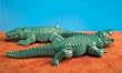 Crocodiles, Set of 2