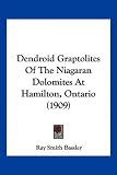 Dendroid Graptolites Of The Niagaran Dolomites At Hamilton, Ontario (1909)