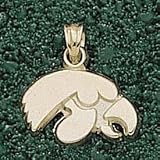 Anderson Jewelry Iowa Hawkeyes Head Gold Charm