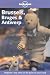 Books : Brussels, Bruges and Antwerp (Lonely Planet City Guide)