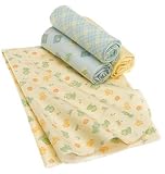 Lambs & Ivy Froggy Tales 4 Pack Flannel Blanket