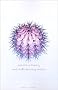 Touch: Sensuous Theory and Multisensory Media