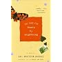 The Cure for Death by Lightning: A Novel