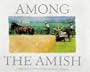 Among the Amish