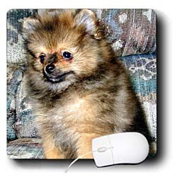 image link -  - B000EGCCRY