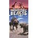 Walking With Prehistoric Beasts [VHS]
