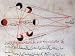 Everything Under the Sun : Astronomy, mathematics, and Islam (When the World Spoke Arabic : The Golden Age of Arab Cilvilization)