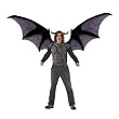 Beast Wings Set Adult Costume