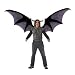 Beast Wings Set Adult Costume