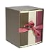 Pierre Belvedere Semikolon Petite  Photo Album Library Box Set, Brown Series (04510)
