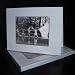 Unseen Wings Greeting Cards - Never walk alone
