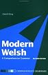 Modern Welsh: A Comprehensive Grammar (Routledge Grammars)