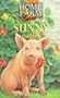 Home Farm Twins 7 - Sunny the Hero