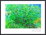 IMAGE OF Lilac Bush, Framed Art Print by Vincent Van Gogh