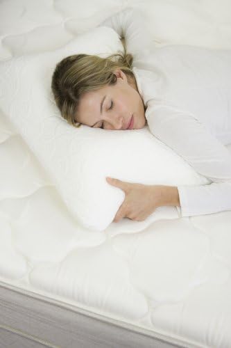 Queen/Standard Size Memory Foam Pillow - Removable Washable Cover - Downton Collection - Sleep Easy Comfort - Pressure Support