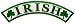 Irish Rocker Embroidered Patch Lucky Clover Shamrock Iron-On Ireland Biker Emblem