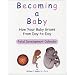 Becoming a Baby: How Your Baby Grows from Day-to-Day