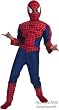 Child's Spiderman 2 Costume (Size:LG 7-10)