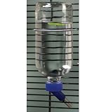 GLASS ECON GPIG/FER WTR BTL 16Z