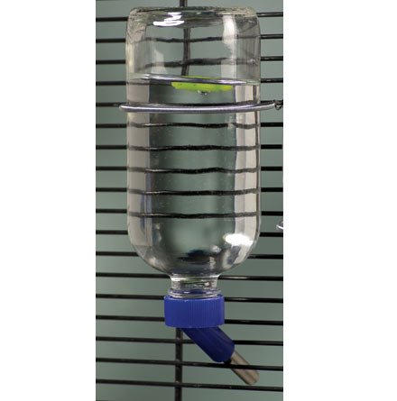 GLASS ECON GPIG/FER WTR BTL 16Z
