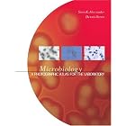 Microbiology: A Photographic Atlas for the Laboratory by  Steven K. Alexander and Dennis Strete