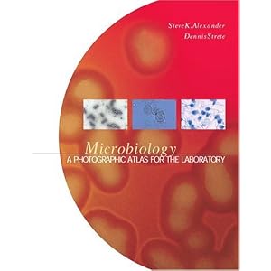 Click here to buy Microbiology: A Photographic Atlas for the Laboratory by Steven K. Alexander and Dennis Strete.
