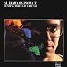 Al Di Meola Project-Soaring Through a Dream