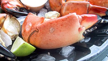 Florida Stone Crab Claws by Florida Stone Crab