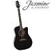 Takamine Jasmine ES31C Acoustic Electric Guitar