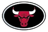 Chicago Bulls NBA Color Auto Emblem