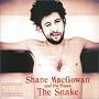 The Snake