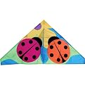 Two Ladybugs 56