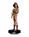 Search : Wonder Woman DVD Maquette