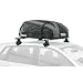 Thule 630 Ranger 90 Rooftop Cargo Bag (Rack Mounted) B000MRCIC4