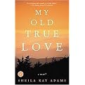 My Old True Love (A Novel) (Reprint) (Paperback)