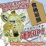合格祈願！コアラのプーさんフン入りキーホルダー　プーさん（男の子）