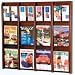 12 Magazine/24 Brochure Oak & Acrylic Wall Rack, Dark Red Mahogany Finish