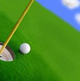 41ZT4qEh3 L. SL160  golfcourses