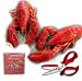 Lobsters, Scissors and Salt