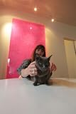 パリねこ～ファミリー・モダン編～ [DVD] 画像