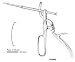 Tonsil Snares, Tyding