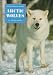 Arctic Wolves (Creatures in White) by Wendy Pfeffer
