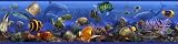 York Peel & Stick Border - Under the Sea