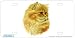 Cameo Persian Cat Art Print - License Plate Tag By Robert J. May From Airstrike