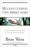 Muchos cuerpos, una misma alma: El poder sanador de una nueva terapia que nos abre hacia las vidas futuras
