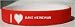I Love Dave Heineman Custom Wristband