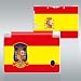 2010 FIFA South Africa World Cup Spain Nintendo DSi Skin